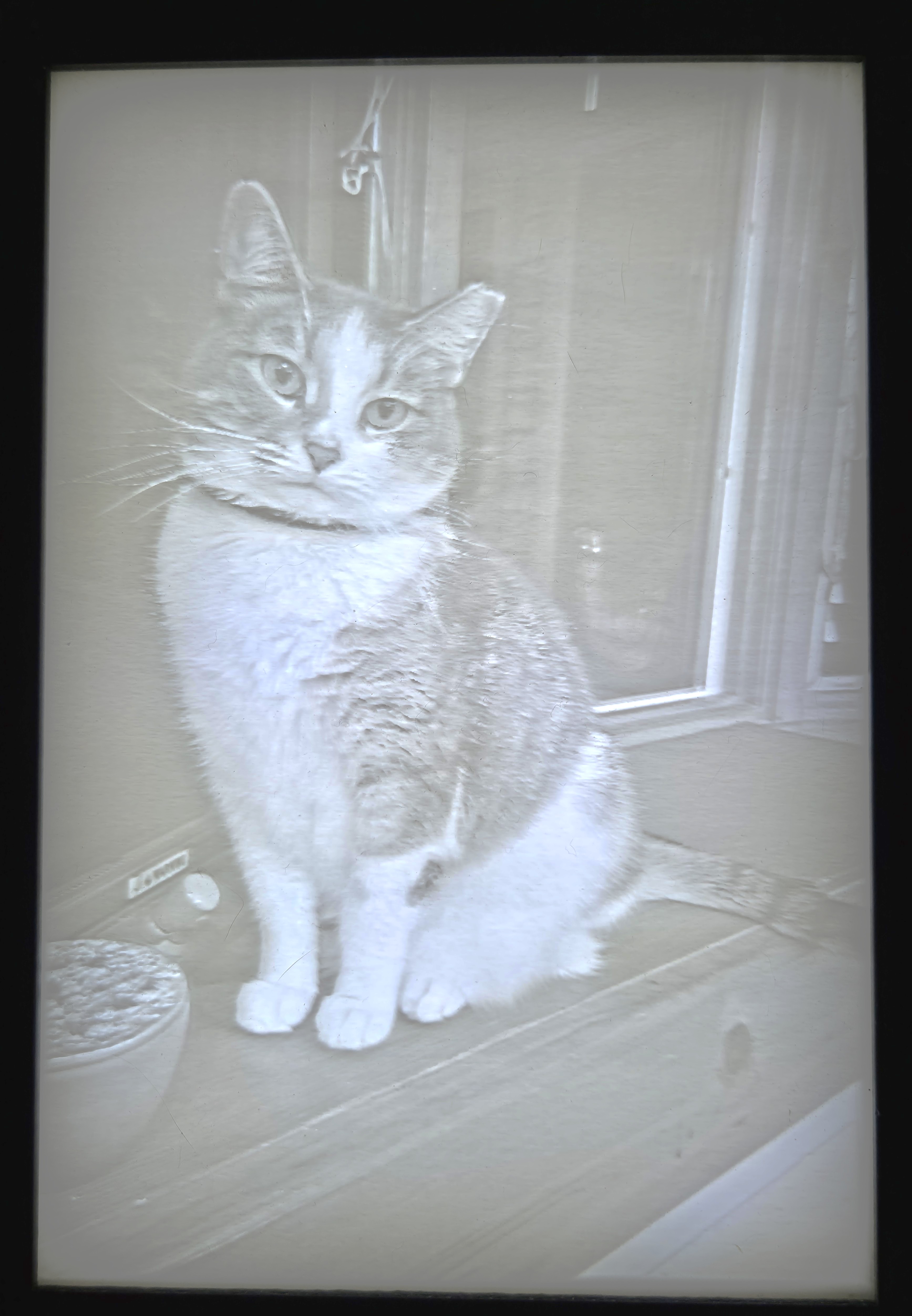 Custom Backlit Lithophanes